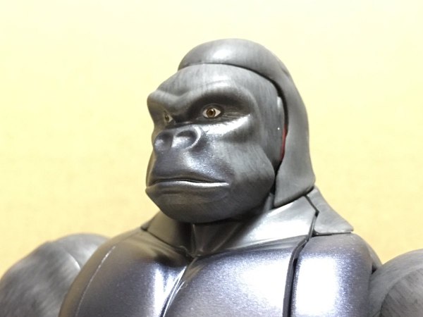 MP 32 Masterpiece Optimus Primal   In Hand Photos Surface On Twitter  (63 of 81)